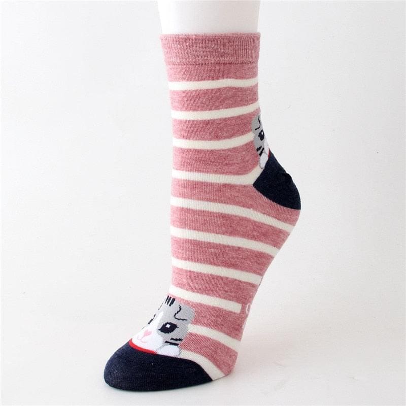 Chaussette à rayures chat – Image 4