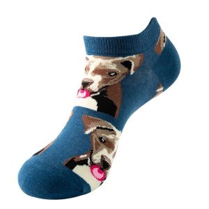 Socquette chien
